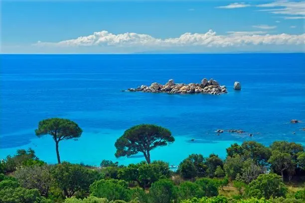 Rdj Ds Vue Panoramique Apartment *